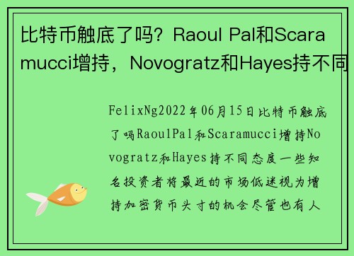 比特币触底了吗？Raoul Pal和Scaramucci增持，Novogratz和Hayes持不同态